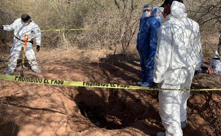 Hallan fosa clandestina con al menos 6 cuerpos en Sonora