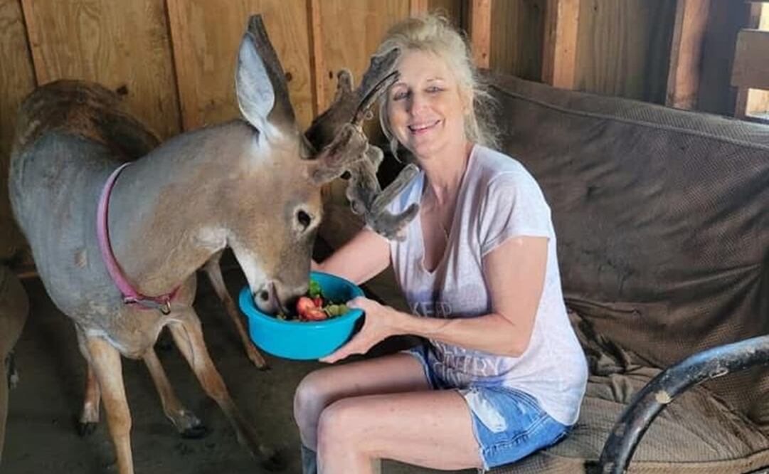 Fallece la activista Jodi Proger tras ser atacada por un venado que había rescatado. Foto: Redes sociales