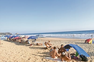 Miles disfrutan de festival nudista