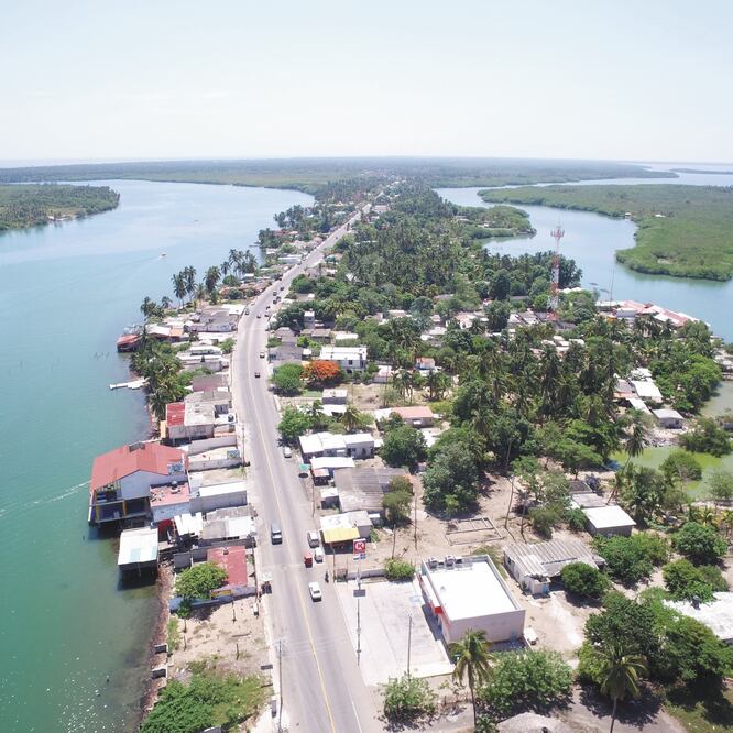Impacto ambiental. El desmonte de manglares se ha realizado en un predio donde el gobierno federal busca edificar la refinería Dos Bocas, indica el Cemda. ARCHIVO EL UNIVERSAL