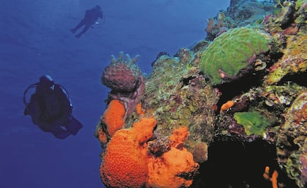 Envían robots a cazar las riquezas minerales de las profundidades marinas 