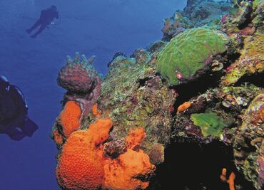 Envían robots a cazar las riquezas minerales de las profundidades marinas