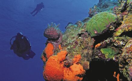 Envían robots a cazar las riquezas minerales de las profundidades marinas