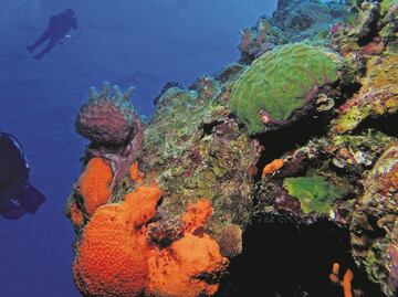 Envían robots a cazar las riquezas minerales de las profundidades marinas