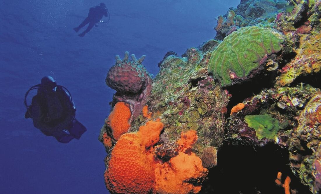 Imagen ilustrativa. Foto: Archivo