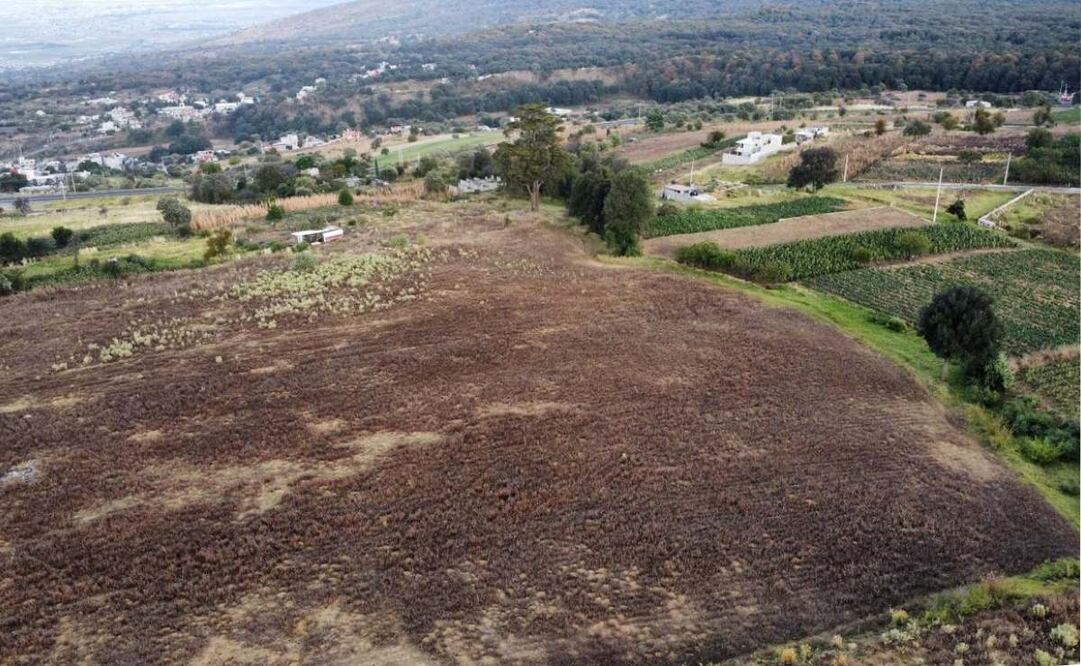 Terreno donado para la construcción del edificio sede de la Universidad de las Lenguas Indígenas de México. Foto: Diego Prado|EL UNIVERSAL