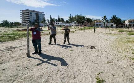 Personal de Profepa ubica nuevo lugar de tala ilegal en Sisal, Yucatán; hay daños a más de 2 mil 500 metros cuadrados de duna y matorral costero