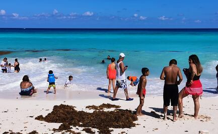 Termina temporada de recale masivo de sargazo en Quintana Roo