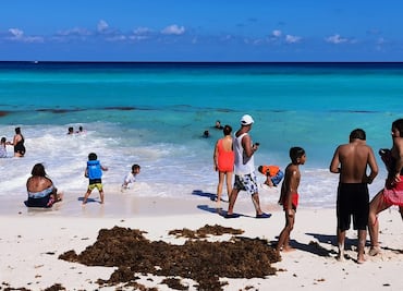 Termina temporada de recale masivo de sargazo en Quintana Roo