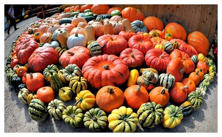 Calabaza, una hortaliza muy saludable