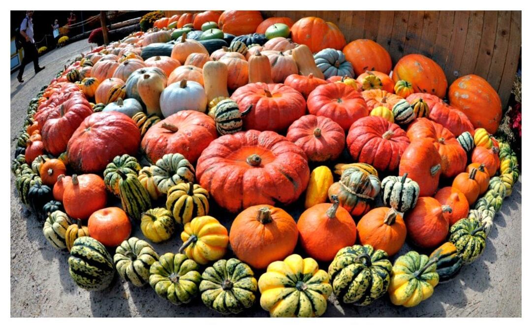 Purificación León / EFE Reportajes