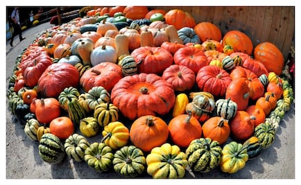 Calabaza, una hortaliza muy saludable
