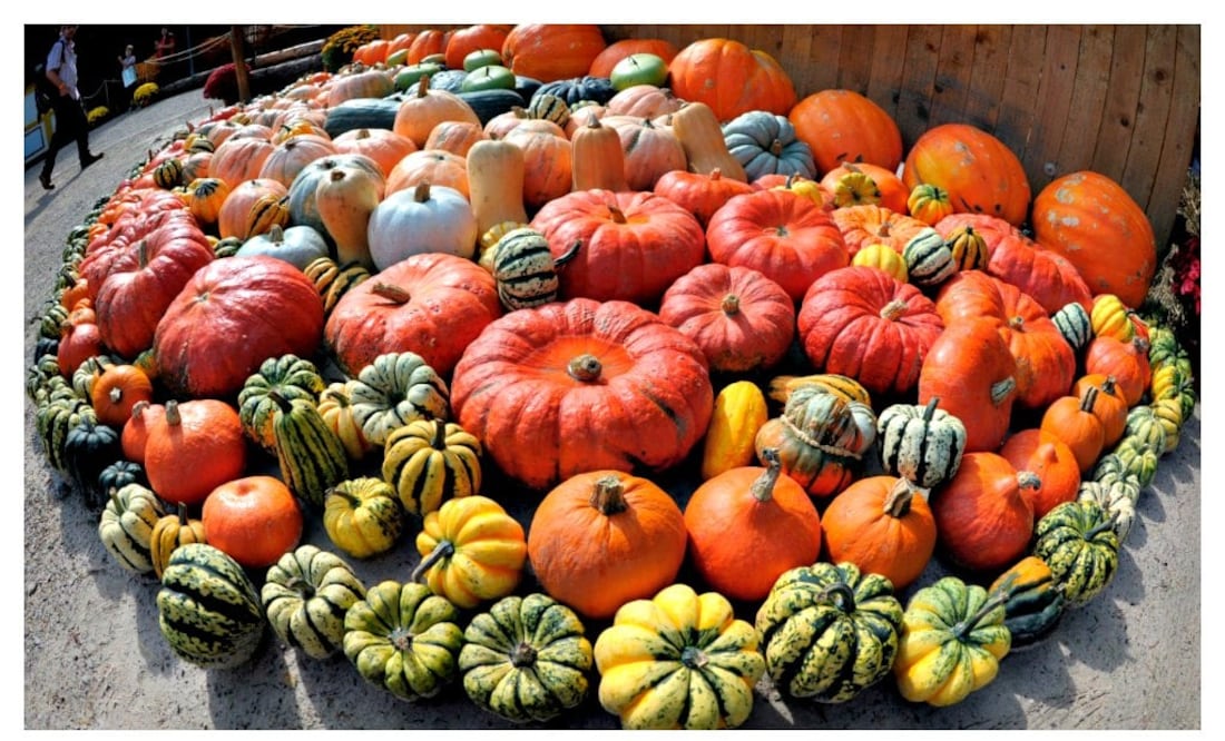 Purificación León / EFE Reportajes