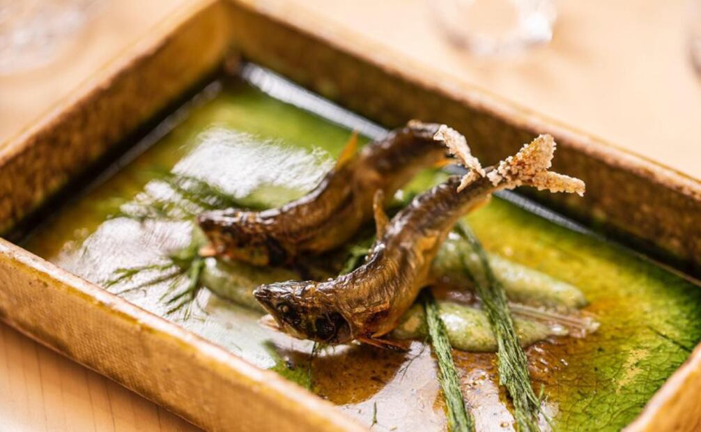 En restaurantes como Sazanka y Yamazato, Andy López Beltrán pagó cuentas superiores a los 47 mil pesos, según Aristegui Noticias. Foto: The Okura Tokyo