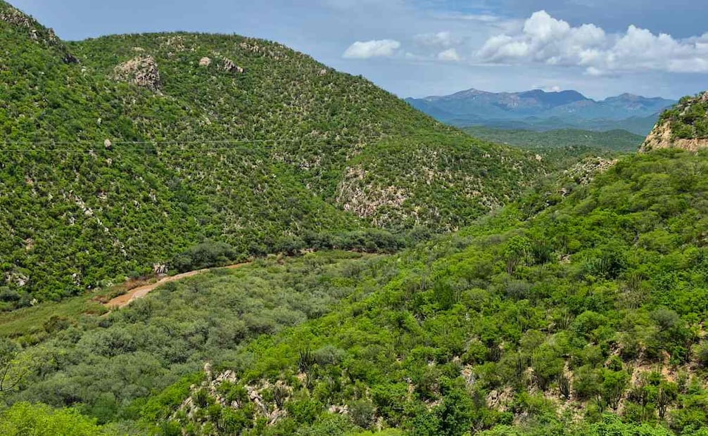Río Sonora; doce años sin reparación.
Foto: Javier Escobar