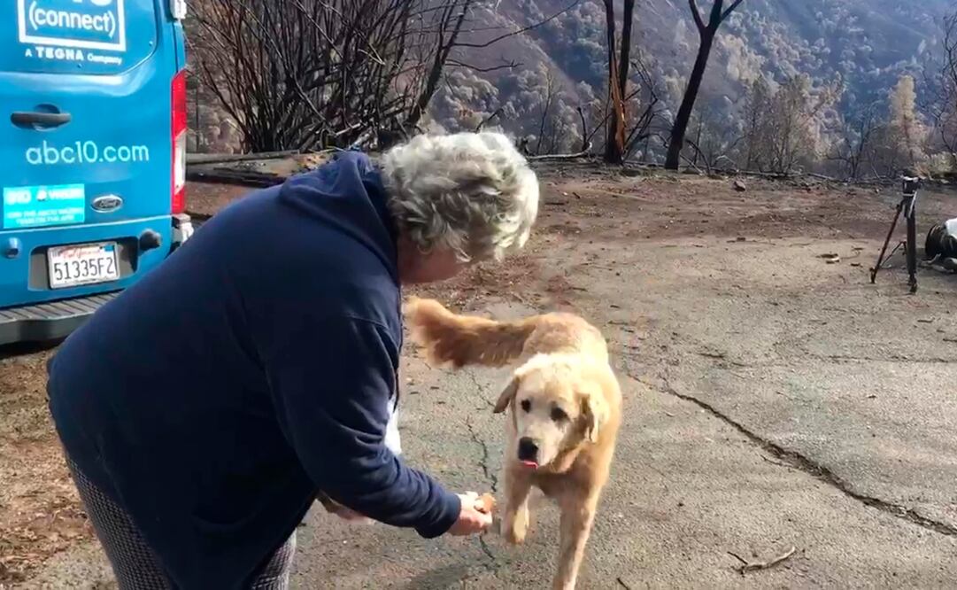 Andre Gaylord con su perrita Madison (Foto: AP)