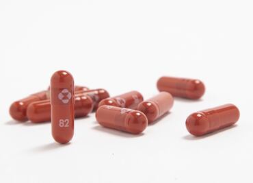 Fármaco antiCovid desencadenaría nuevas mutaciones del coronavirus: científico de Harvard