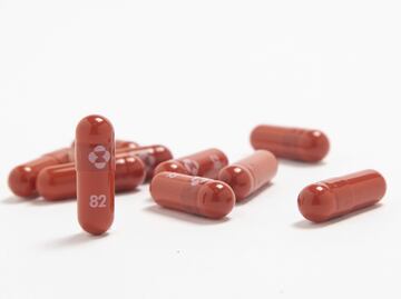 Fármaco antiCovid desencadenaría nuevas mutaciones del coronavirus: científico de Harvard