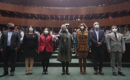 Diputados avalan a Elvira Concheiro y rinde protesta como Tesorera de la Federación