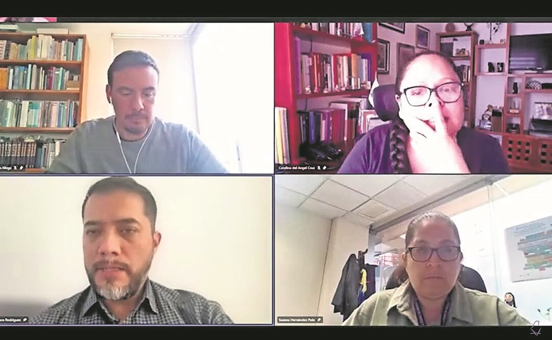 La Comisión de Organiza-ción Electoral y Geoestadís-tica durante la primera sesión extraordinaria virtual. Foto: Especial