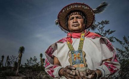 La defensa del agua y la naturaleza en el cine mexicano