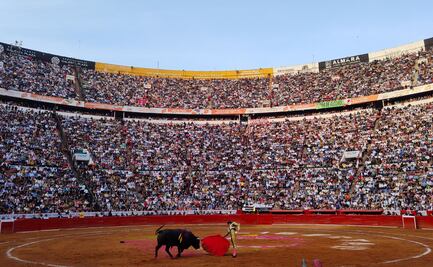 Corridas de toros sin violencia en CDMX causará pérdidas por 9 mil mdp a nivel nacional: sector taurino; esperan afectaciones al erario