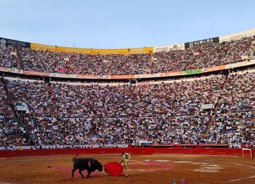 Corridas de toros sin violencia en CDMX causará pérdidas por 9 mil mdp a nivel nacional: sector taurino; esperan afectaciones al erario