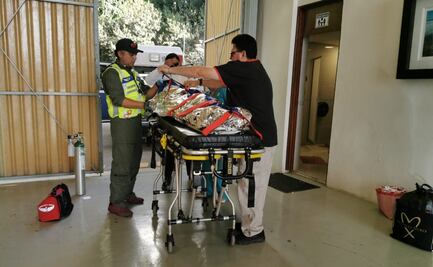 Dan de alta a saxofonista atacada con ácido; inicia etapa de recuperación