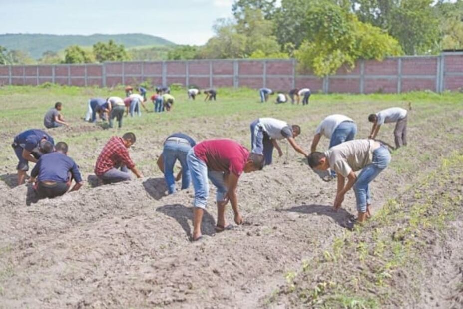 Ven en Normal de Ayotzinapa opción para superarse, pero que ha costado vidas