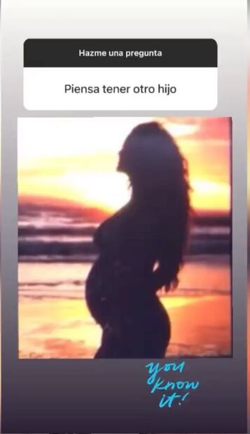 Ninel Conde se confiesa, dice que sí le gustaría tener otro hijo 