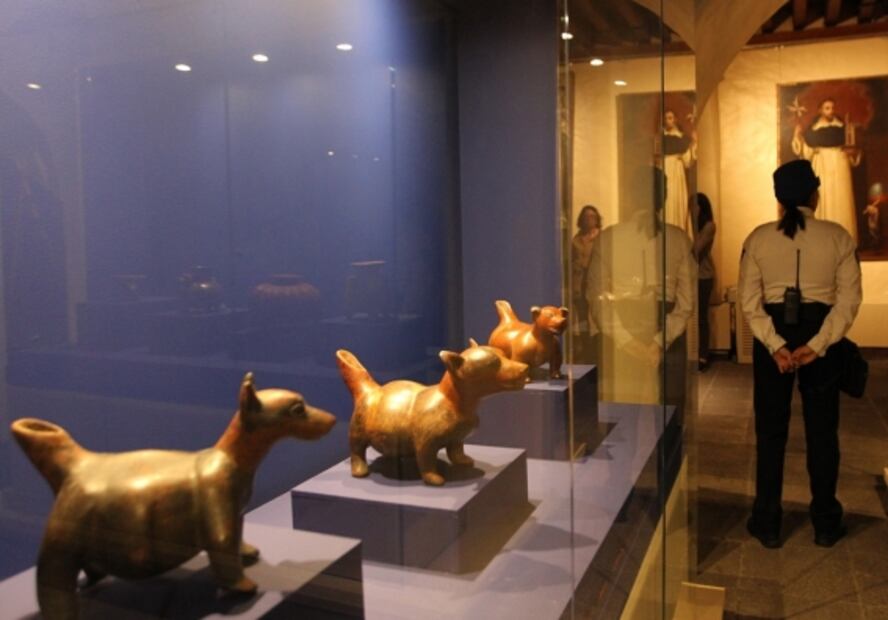 Xoloitzcuintle, de perro perseguido por la Iglesia a ícono de México