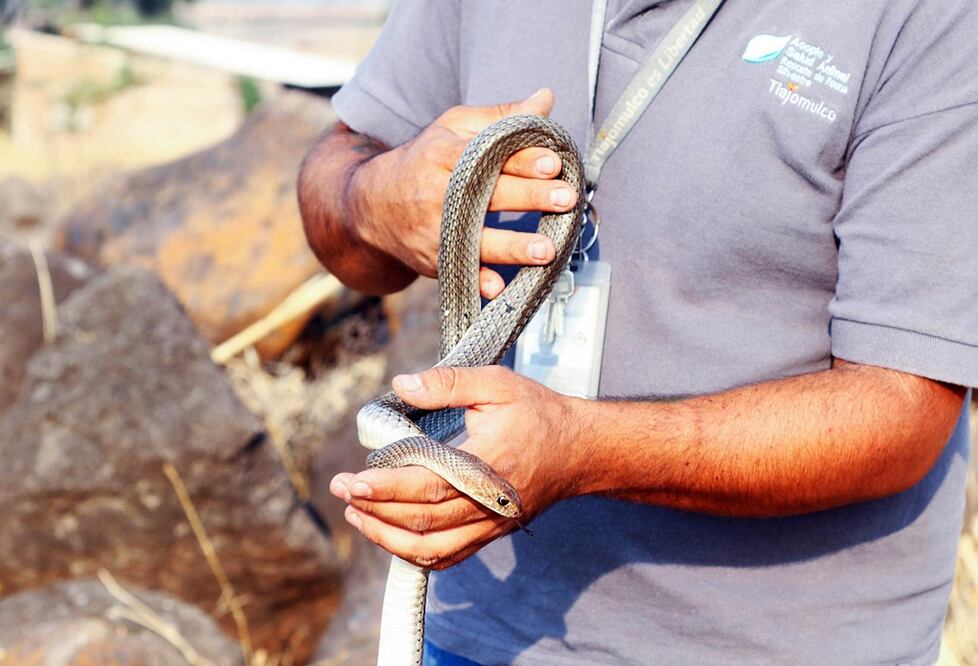 Foto: Notimex-Especial 