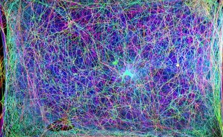 Científicos crean melodía a partir de las vibraciones de una telaraña