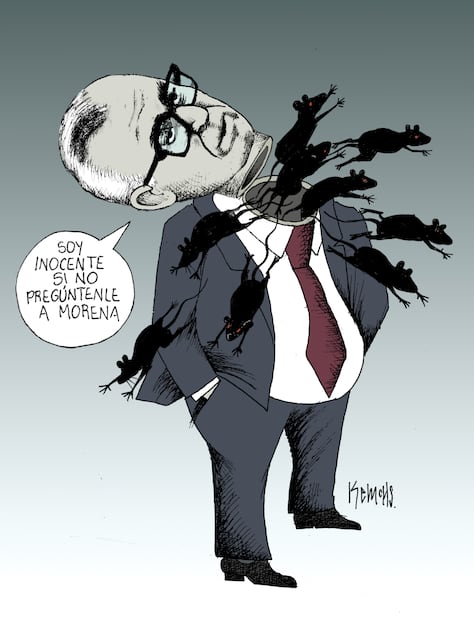 Cartón de KEMCHS