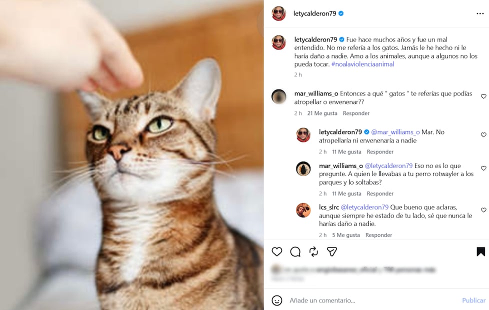 Confrontan a Leticia Calderón en redes tras aclarar lo que dijo hace años sobre los gatos.
Instagram letycalderon79
