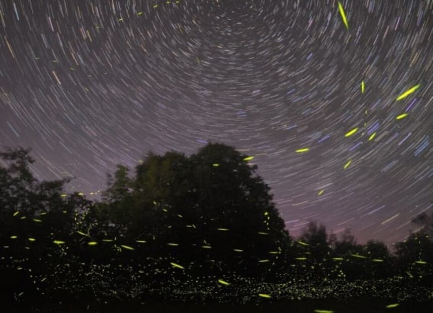 Visita el Parque Ecoturístico Dos Aguas, a las faldas del Iztaccíhuatl