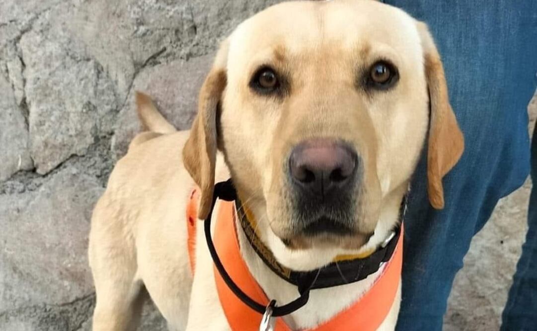 Foto: Buscadoras de la Frontera Nogales