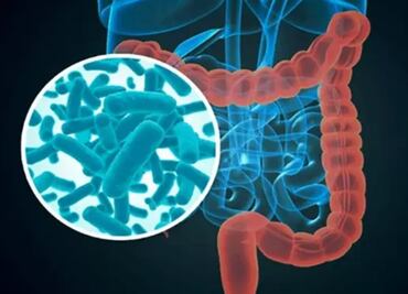 Así se desarrolla la microbiota intestinal en los primeros cinco años de vida