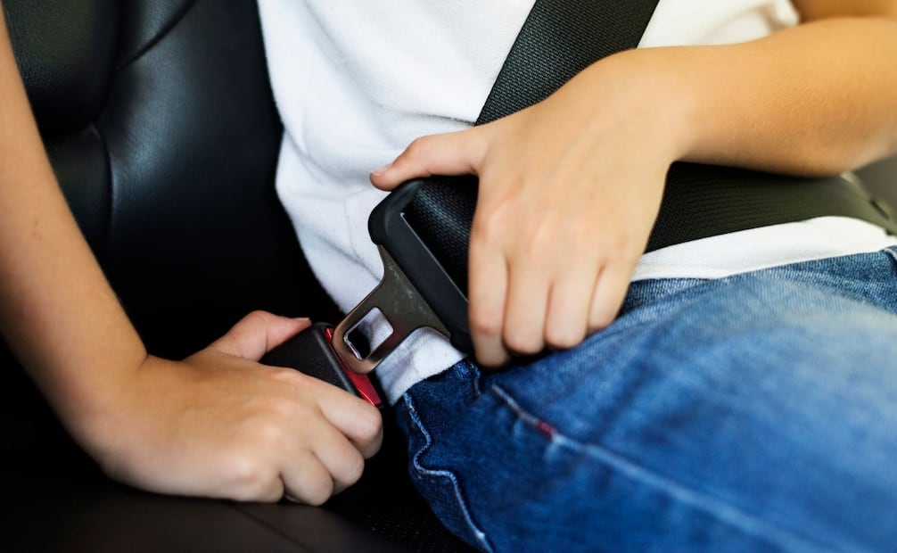 Conoce la razón por la que en esta carretera no se debe usar el cinturón de seguridad. Foto: Freepik