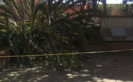 Mueren 2 por fuertes vientos en Oaxaca