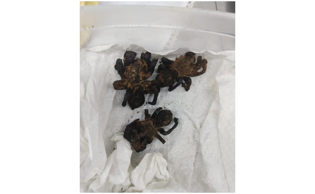 Fotografía: Especial