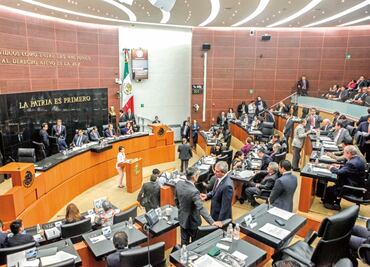 Presentan iniciativa para ‘revivir’ a la SSPF