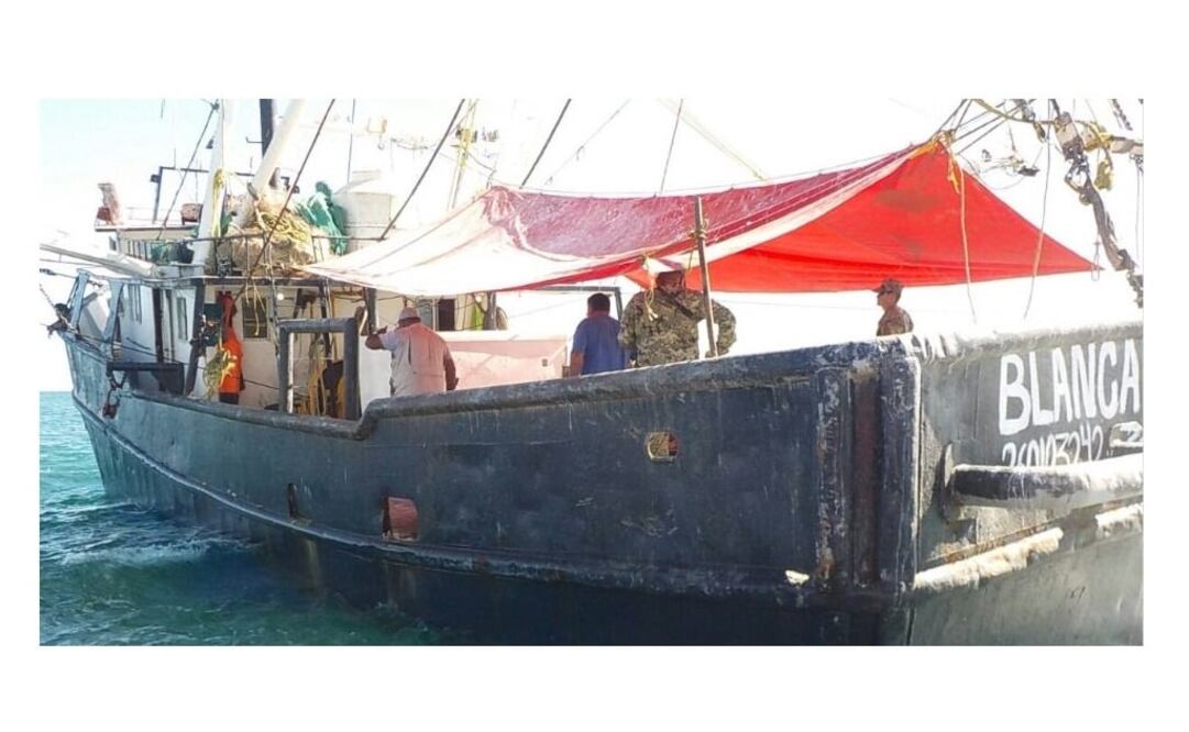 Foto: tomada de @PROFEPA_Mx