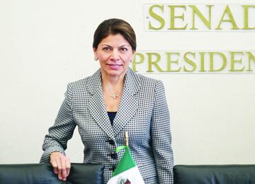 OEA: pese a incidentes, predominó tranquilidad