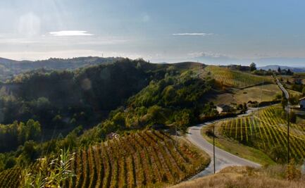 El Langhe, el territorio italiano consagrado a la trufa y el vino