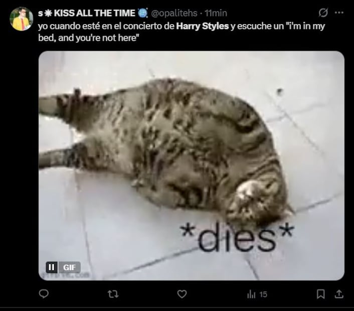 Fans reaccionan al concierto de Harry Styles en México. Foto: Redes Socieles