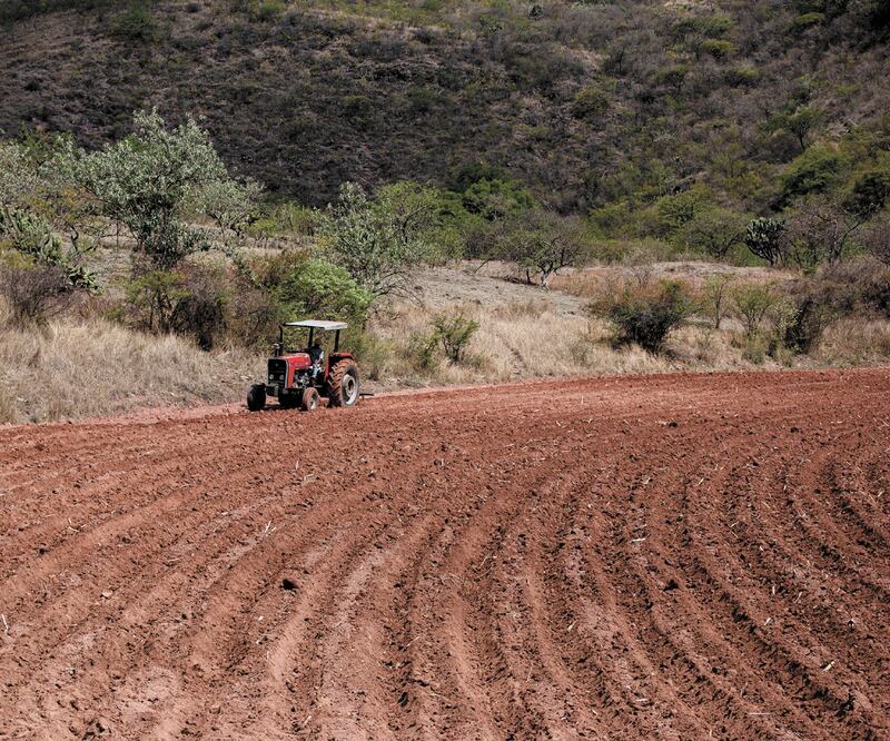 Caja Popular Mexicana otorgó 91 mil 138 créditos en zonas rurales y semiurbanas durante el año pasado. Foto: Archivo EL UNIVERSAL