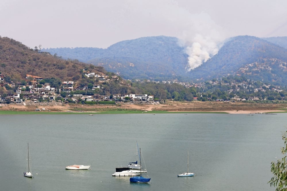Probosque inició una estrategia de restauración integral en Valle de Bravo tras incendios forestales. (Foto: especial)
