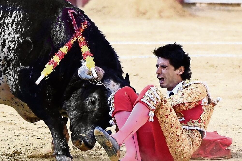 El deceso del joven es el primero en plazas españolas en 25 años (ANTONIO GARCÍA. EFE)