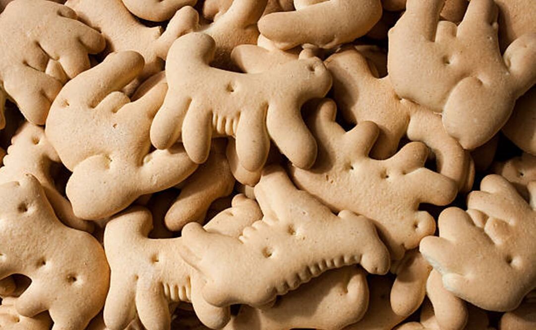 Las galletas de animalitos se caracterizan por su sabor a vainilla. Foto: iStock / Christine Tinsley